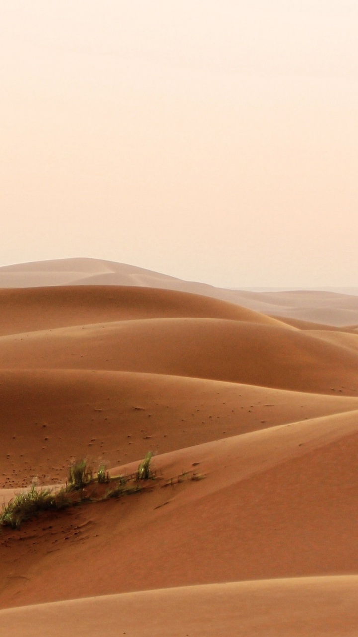 Sable Blanc Sous Ciel Ensoleillé. Wallpaper in 720x1280 Resolution