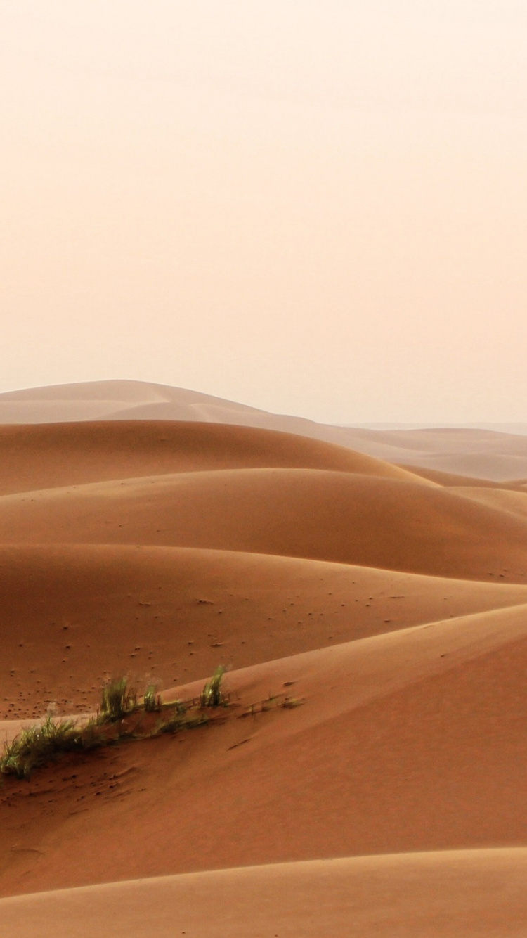 White Sand Under Sunny Sky. Wallpaper in 750x1334 Resolution