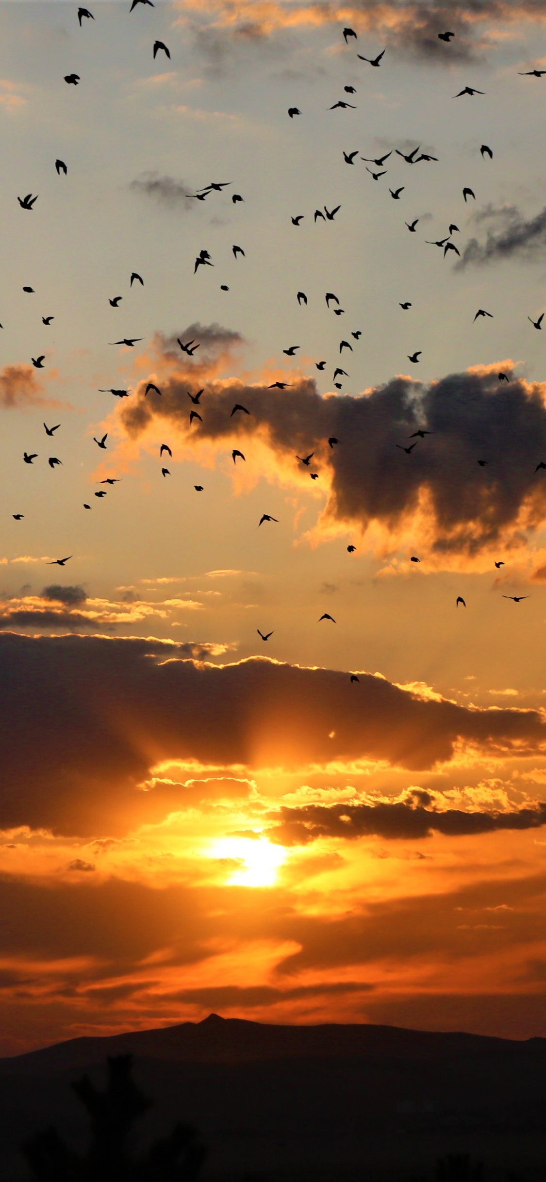 Sonnenuntergang, Cloud, Sonnenaufgang, Afterglow, Horizont. Wallpaper in 1125x2436 Resolution