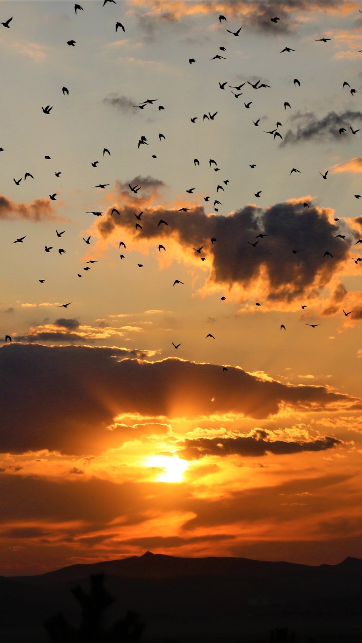 Sunset, Cloud, Sunrise, Afterglow, Horizon. Wallpaper in 720x1280 Resolution