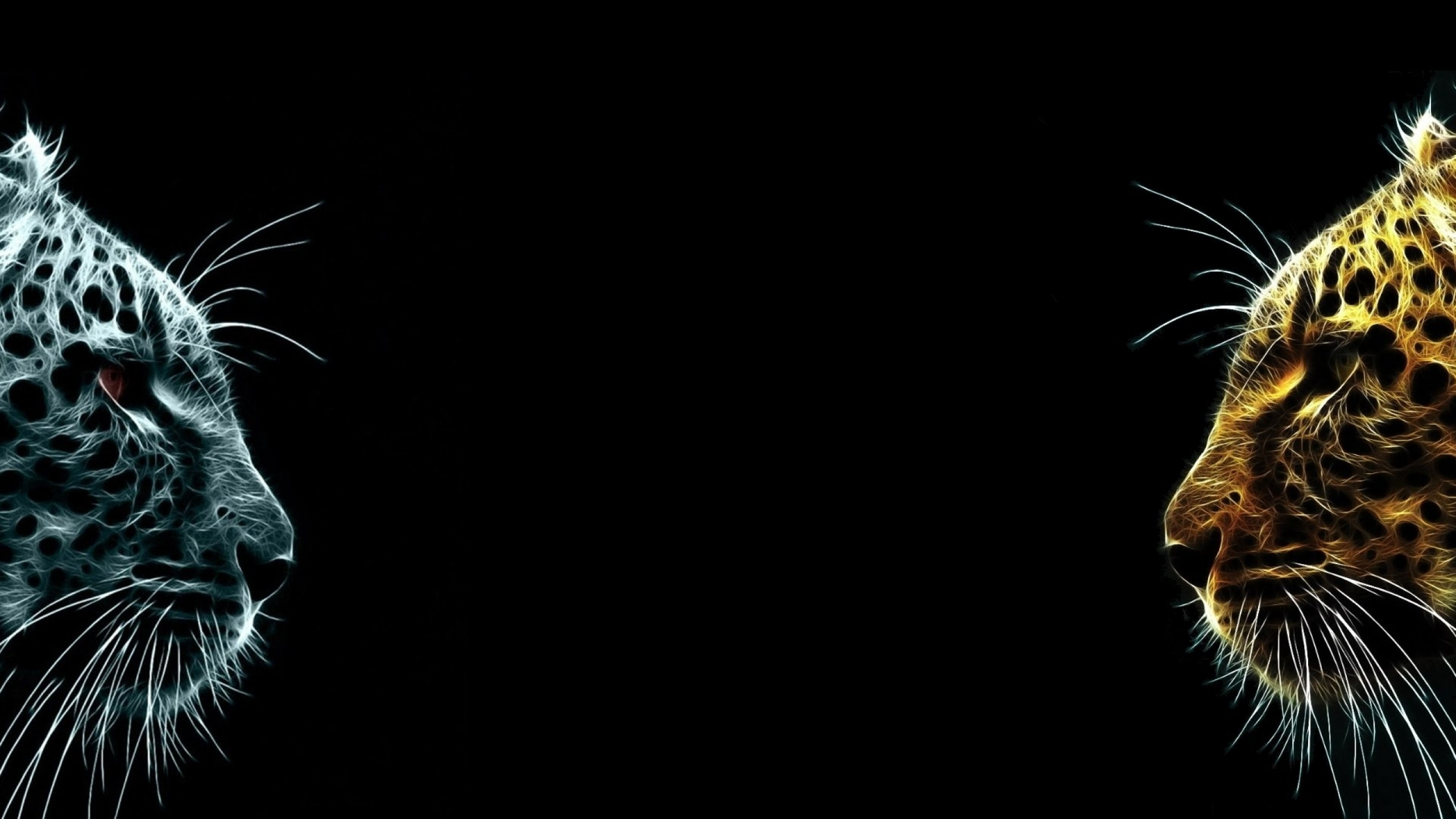 平板电脑, 华硕, HDMI, 性质, 猫科 壁纸 2560x1440 允许