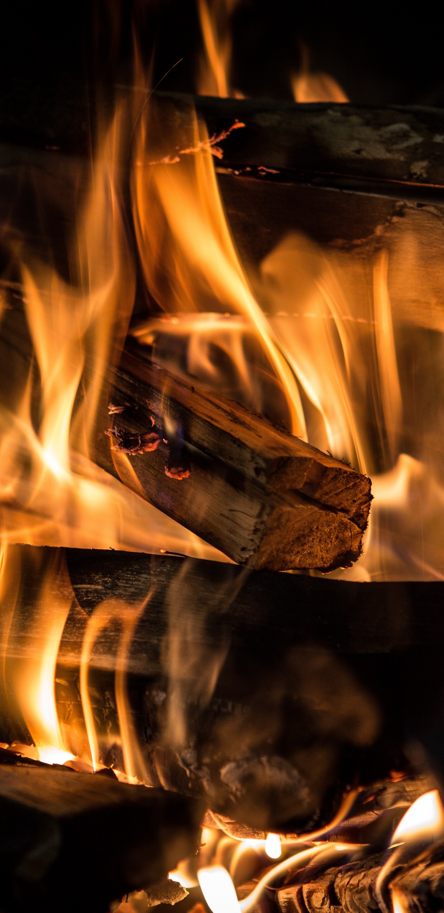 Burning Wood on Fire Pit. Wallpaper in 1440x2960 Resolution