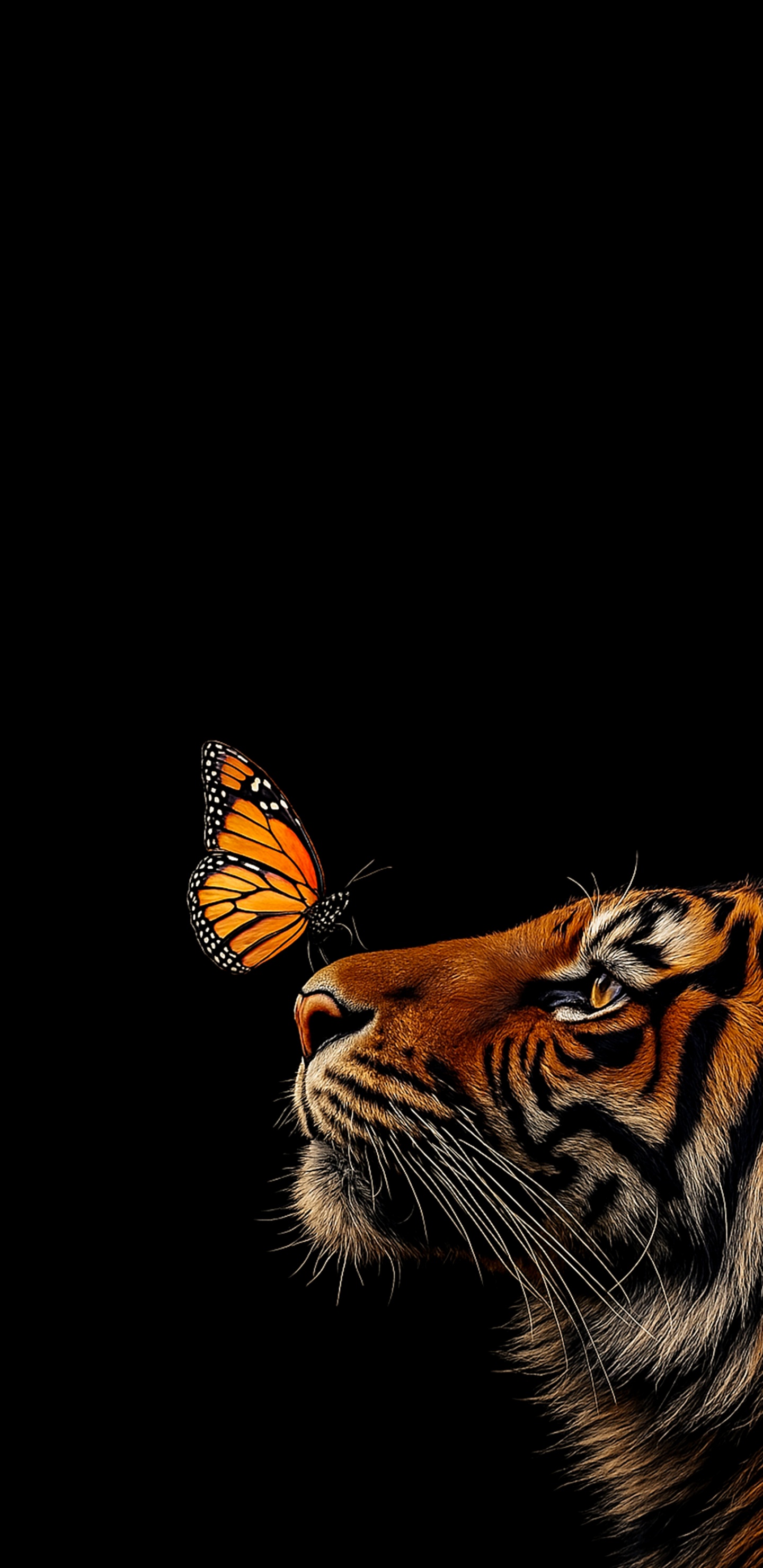 siberian tiger, bengal tiger, bengal, tiger