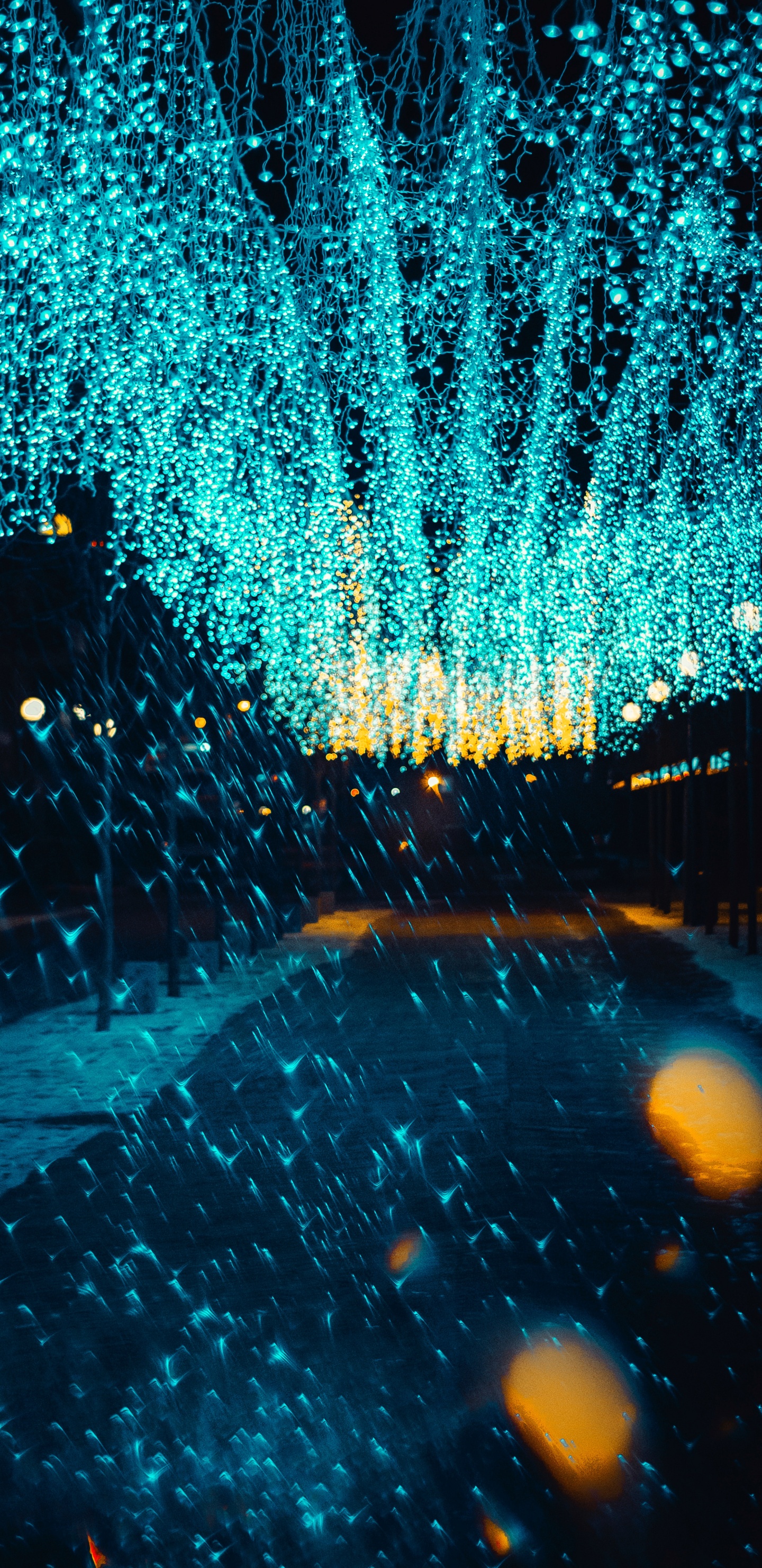 Agua, Azul, Luz, Resplandor, Luces de Navidad. Wallpaper in 1440x2960 Resolution