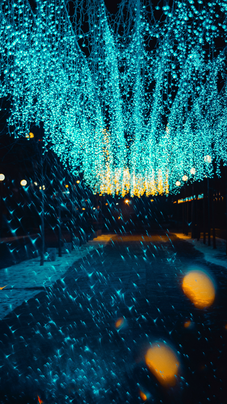 光, 圣诞彩灯, 夜灯, 建筑, 冬天 壁纸 750x1334 允许