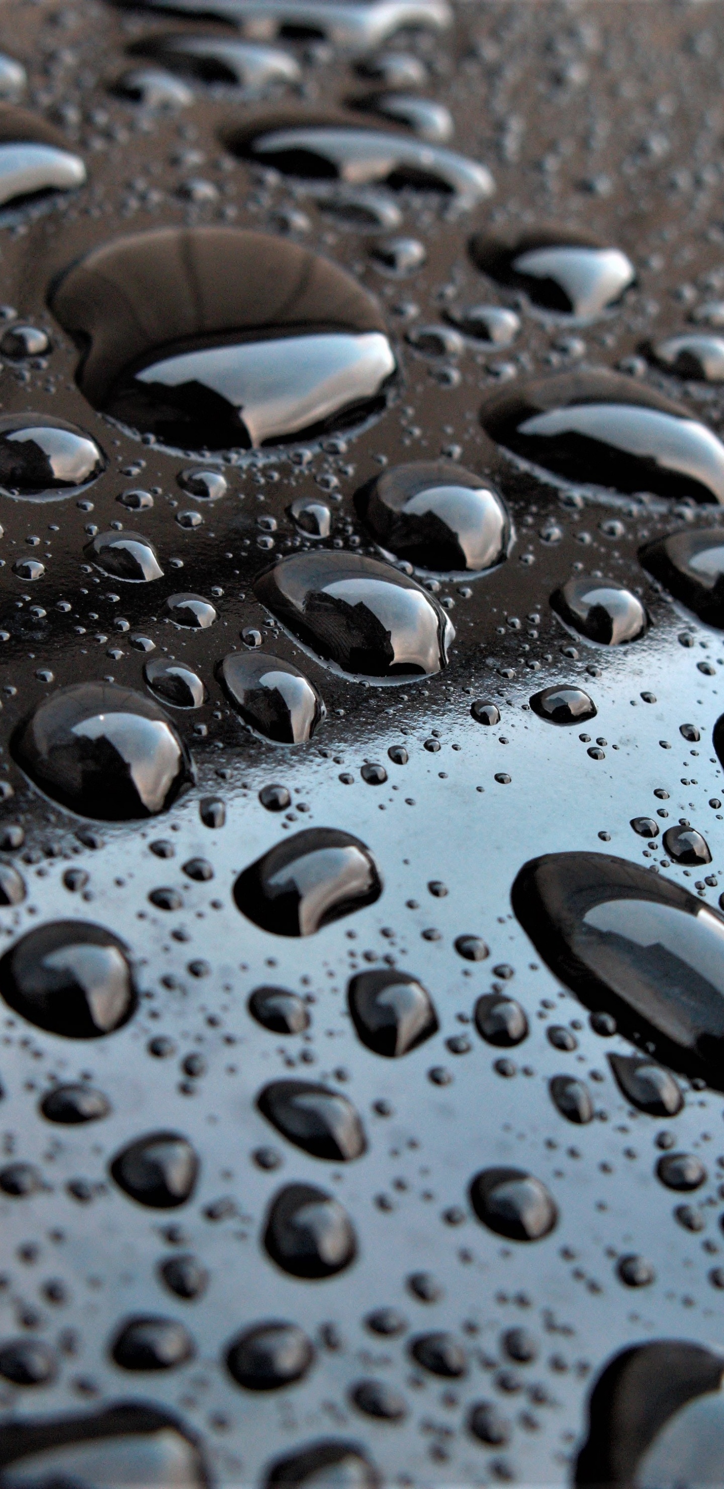 Water Droplets on Clear Glass. Wallpaper in 1440x2960 Resolution