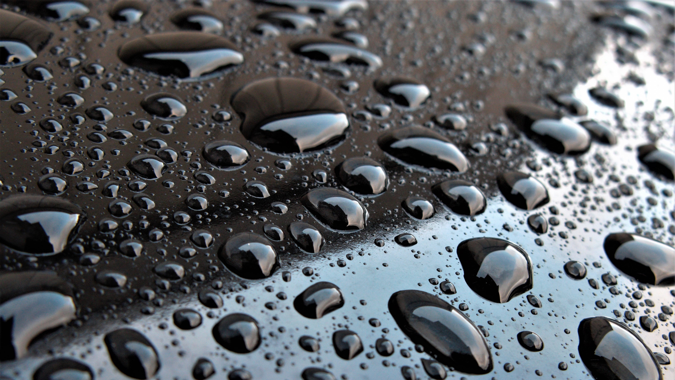 Water Droplets on Clear Glass. Wallpaper in 2560x1440 Resolution