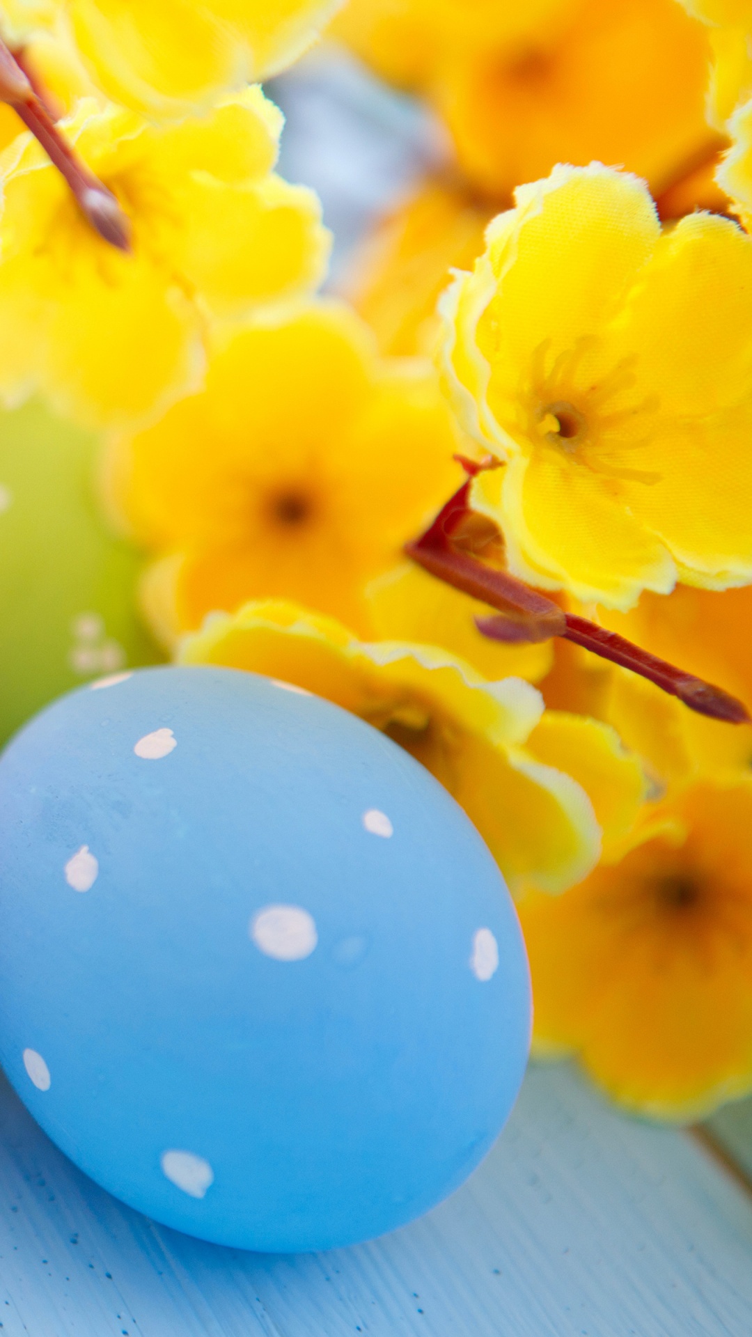 Easter Egg, Flower, Yellow, Easter, Egg. Wallpaper in 1080x1920 Resolution