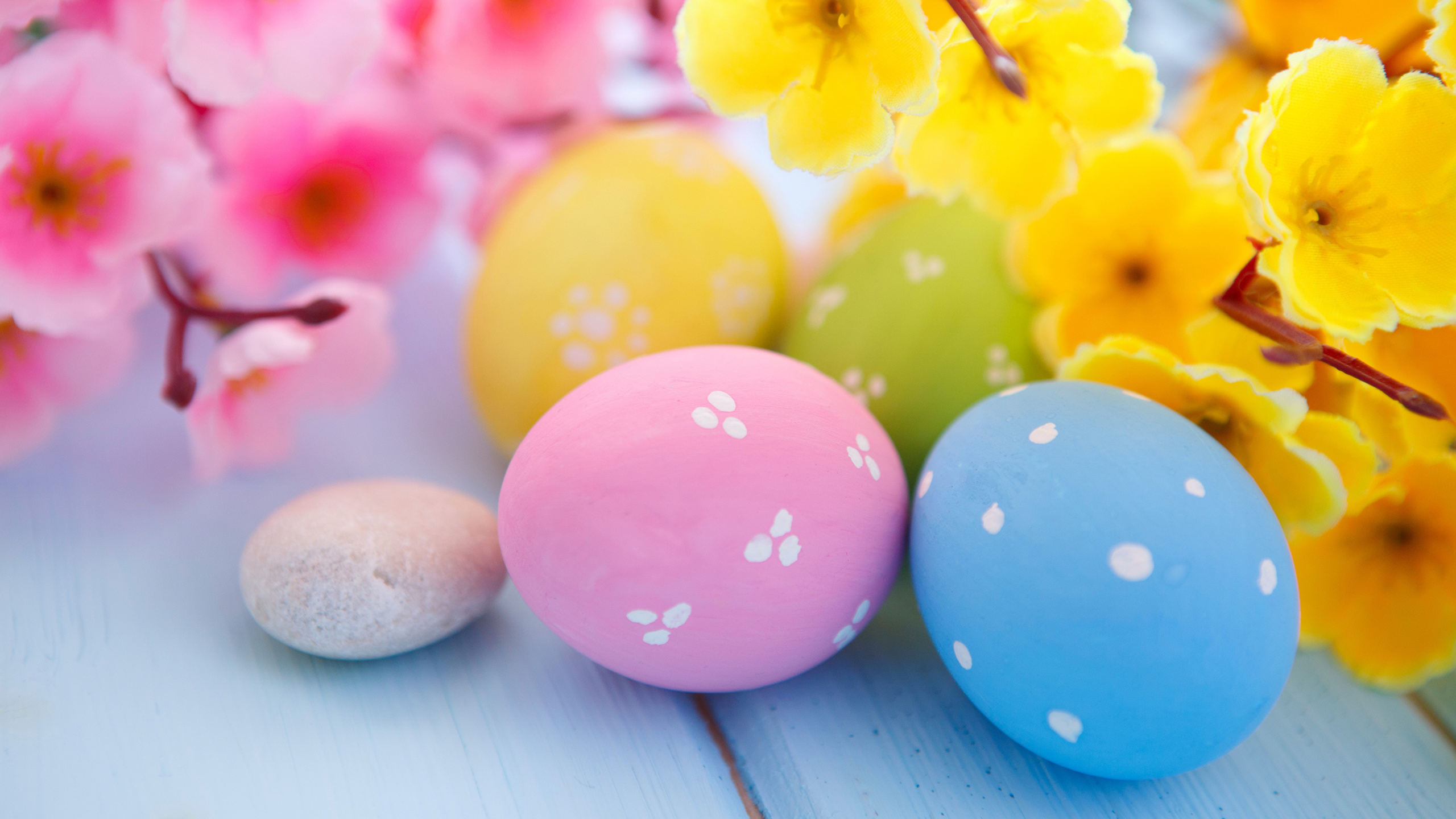 Osterei, Gelb, Ostern, Ei. Wallpaper in 2560x1440 Resolution