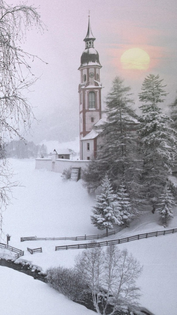 Arbres Couverts de Neige et Bâtiment Pendant la Journée. Wallpaper in 750x1334 Resolution