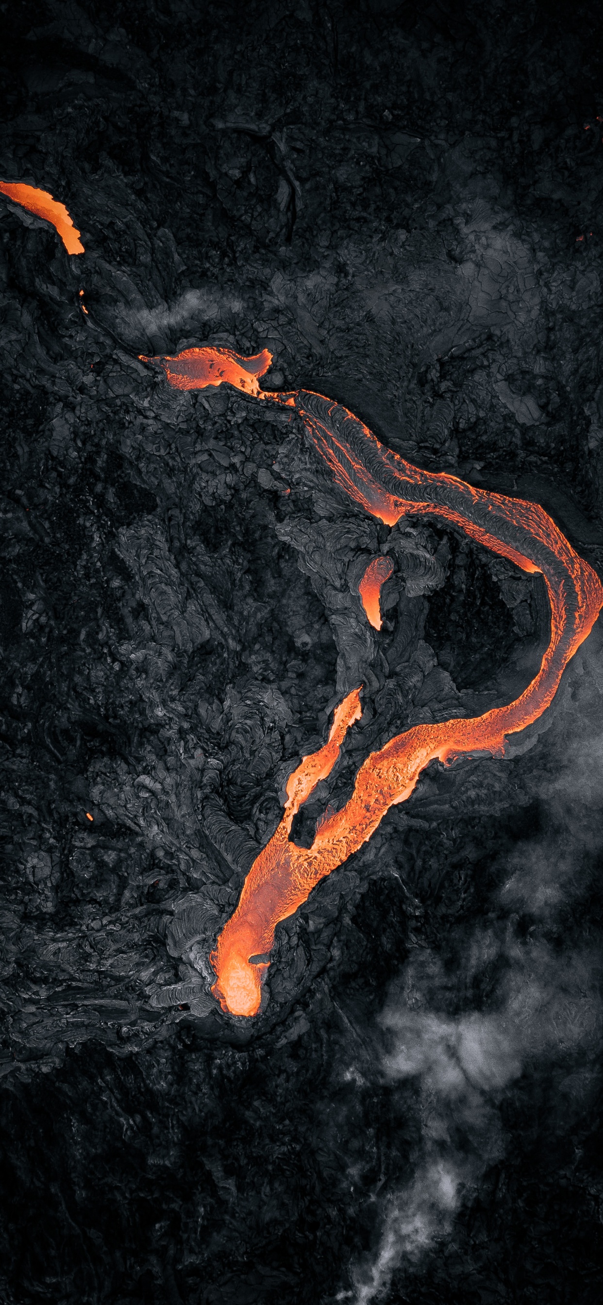 Naranja, También Conocido Como Afk, Spotify, Looney Tunes Riddim Bill Gates, Deezer. Wallpaper in 1242x2688 Resolution