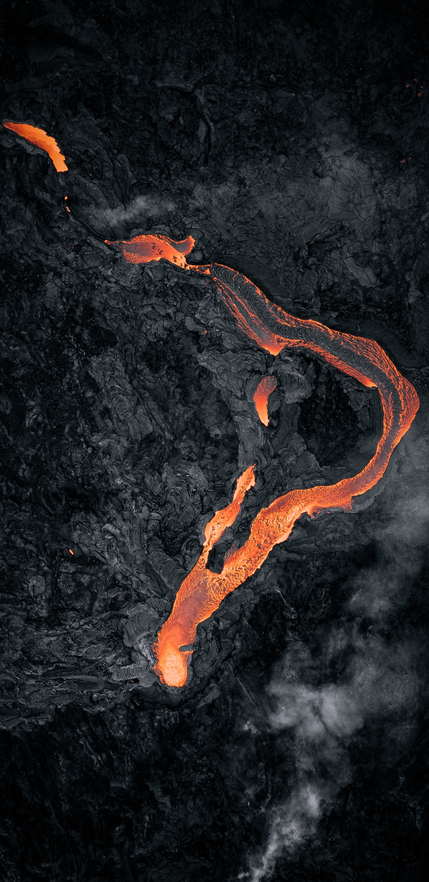 Orange, Aka Afk, Spotify, Looney Tunes Riddim Bill Gates, Deezer. Wallpaper in 1440x2960 Resolution