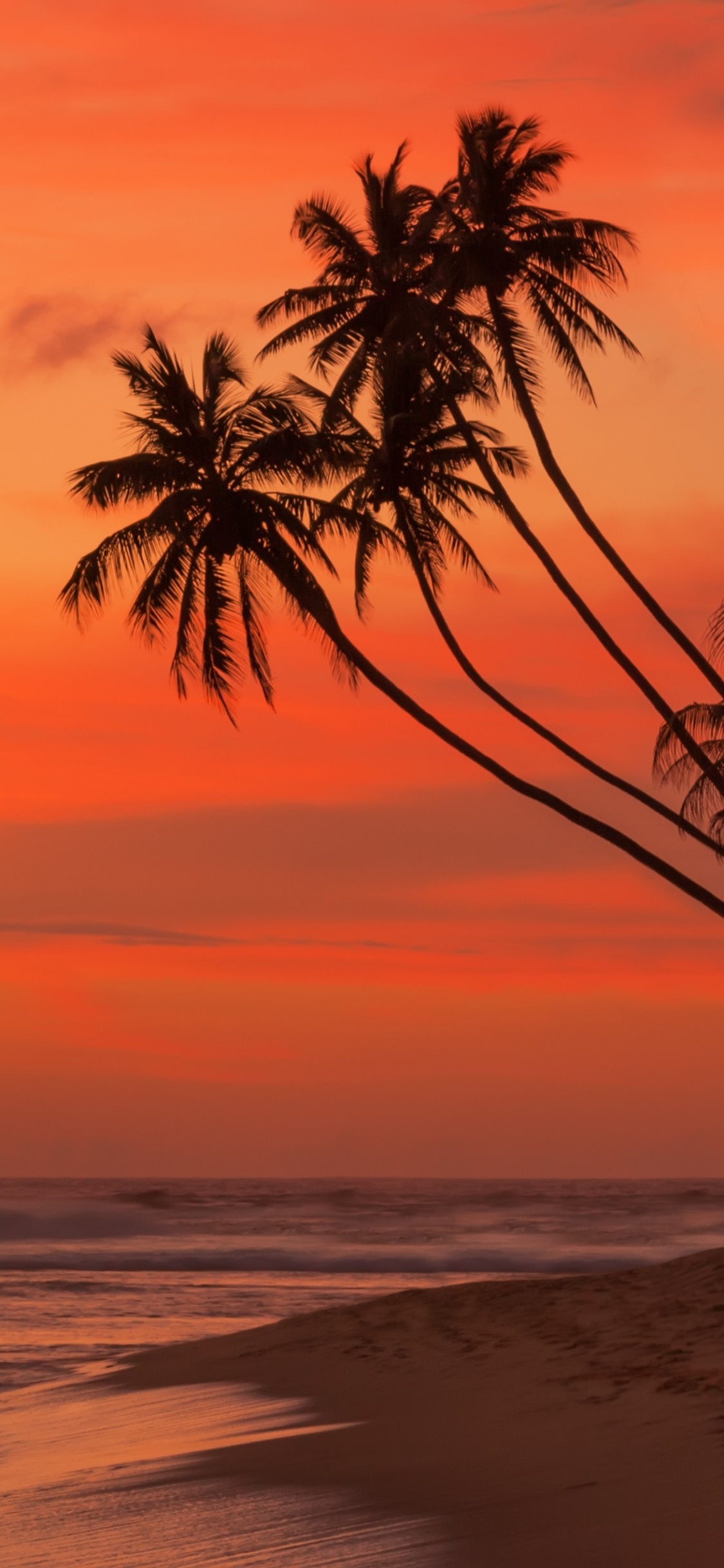 Olas Del Océano Rompiendo en la Orilla Bajo un Cielo Azul Durante el Día. Wallpaper in 1125x2436 Resolution