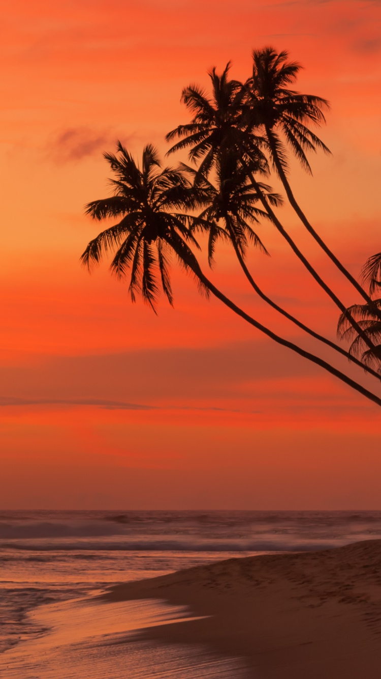 Les Vagues de L'océan S'écrasent Sur le Rivage Sous un Ciel Bleu Pendant la Journée. Wallpaper in 750x1334 Resolution