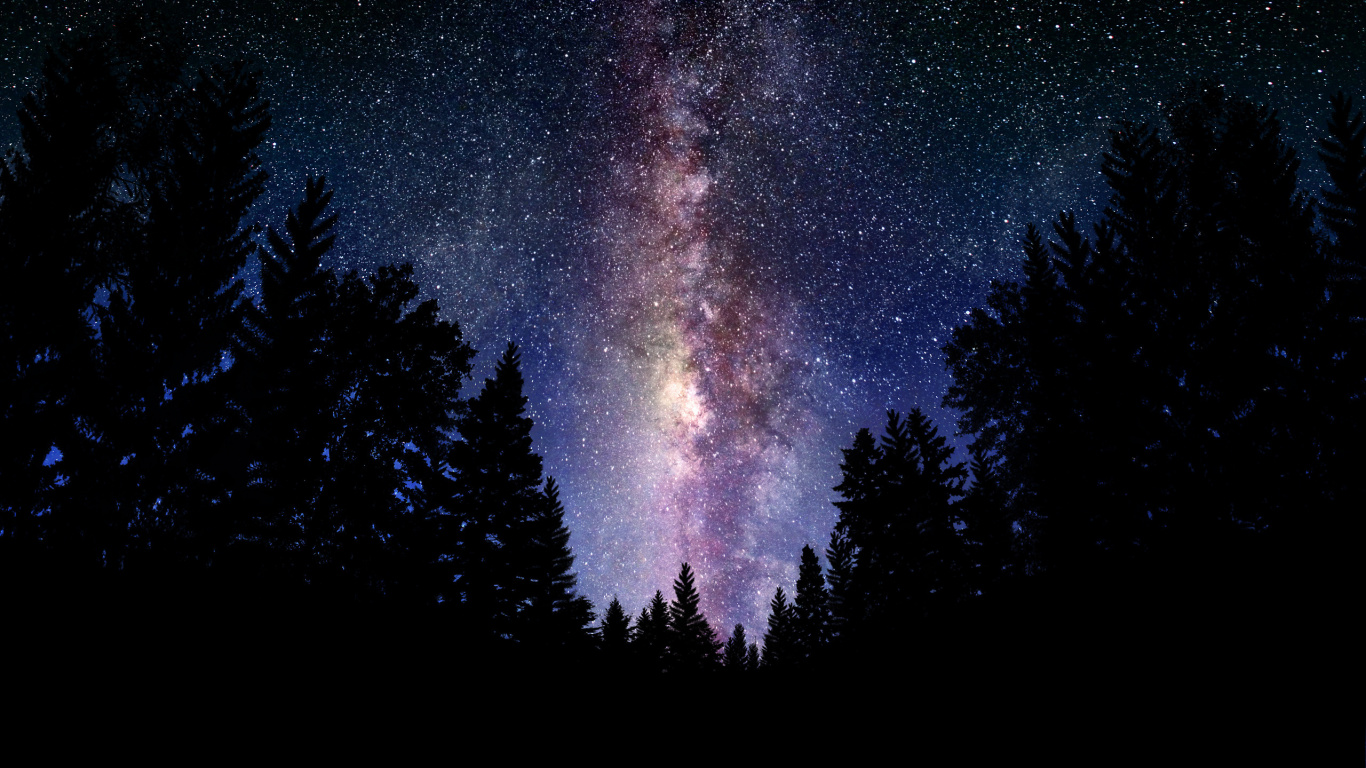 Silueta de Árboles Bajo la Noche Estrellada. Wallpaper in 1366x768 Resolution
