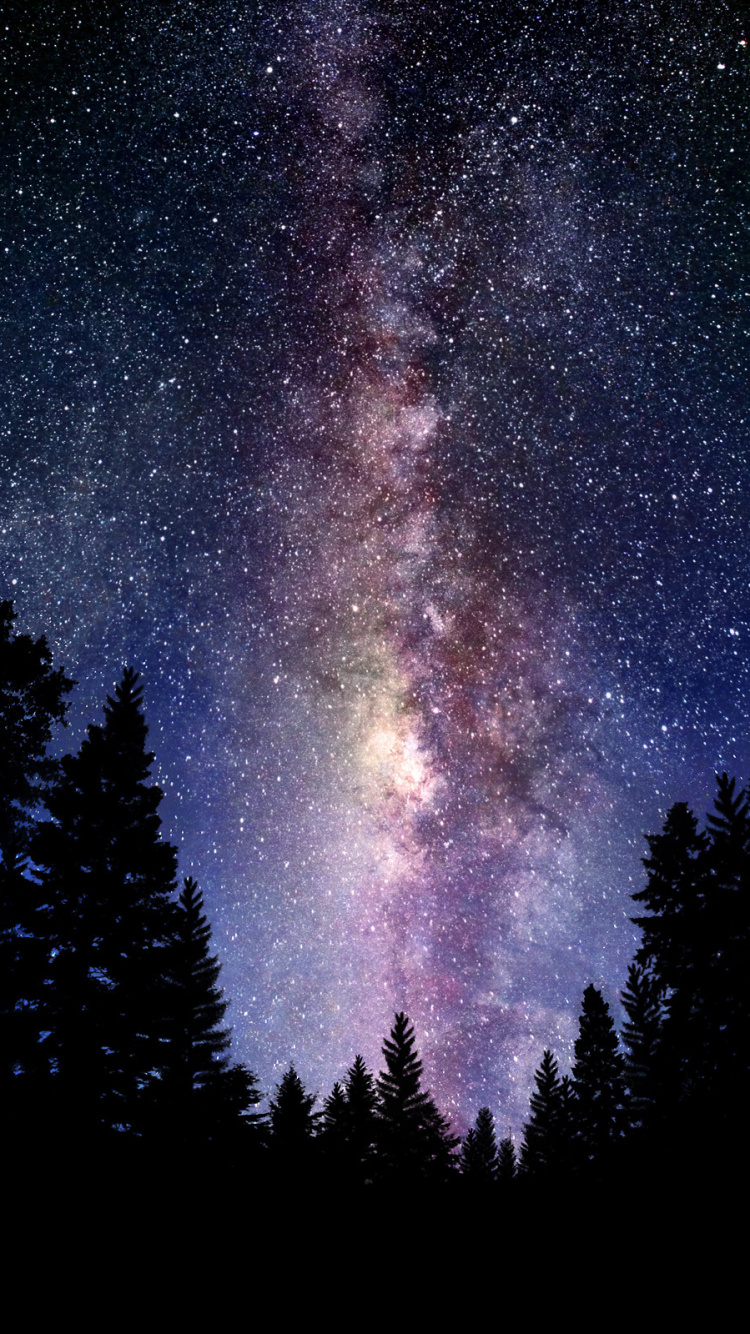 Silhouette of Trees Under Starry Night. Wallpaper in 750x1334 Resolution