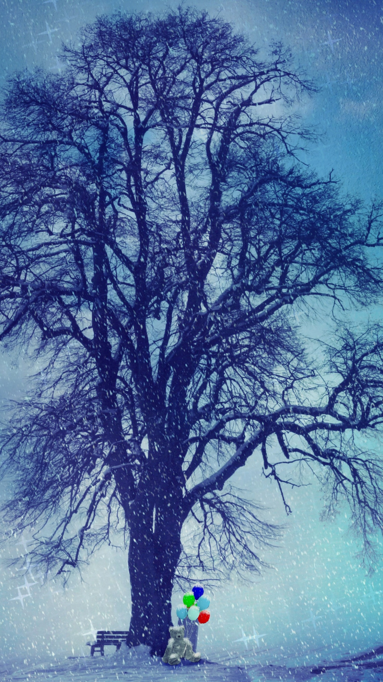 Tree, Nature, Natural Landscape, Blue, Winter. Wallpaper in 750x1334 Resolution