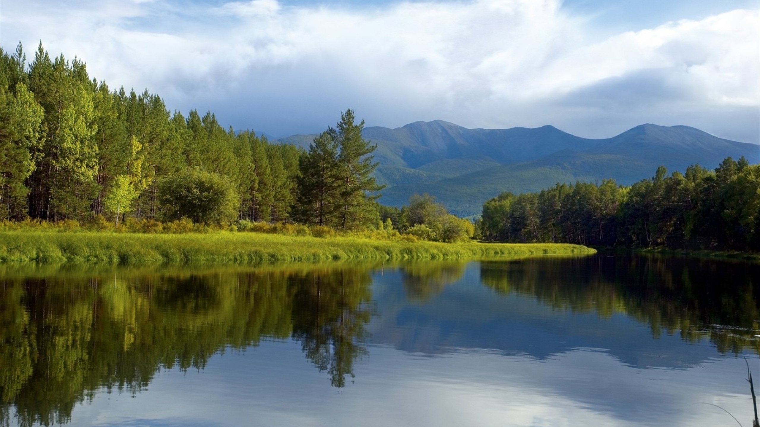 Green Trees Near Lake Under White Clouds and Blue Sky During Daytime. Wallpaper in 2560x1440 Resolution