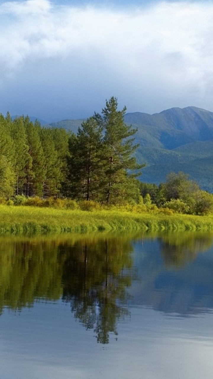 Green Trees Near Lake Under White Clouds and Blue Sky During Daytime. Wallpaper in 720x1280 Resolution