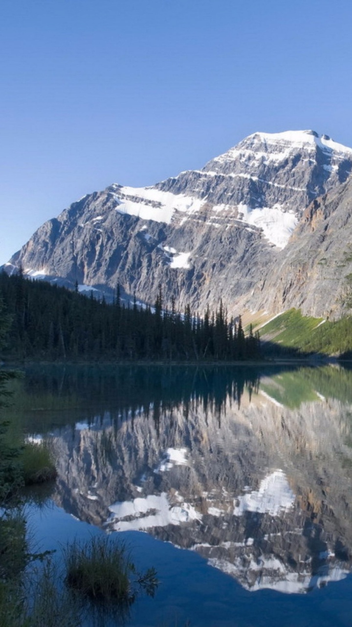 Green Trees Near Lake and Mountain Under Blue Sky During Daytime. Wallpaper in 720x1280 Resolution