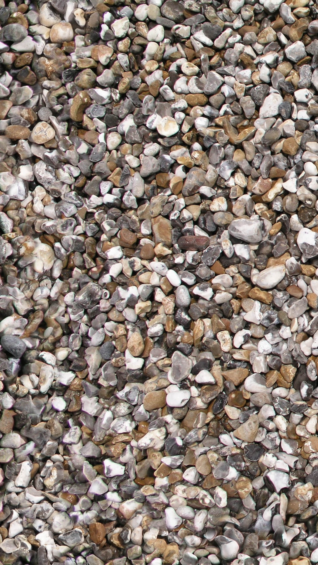Brown and White Pebbles on Ground. Wallpaper in 1080x1920 Resolution