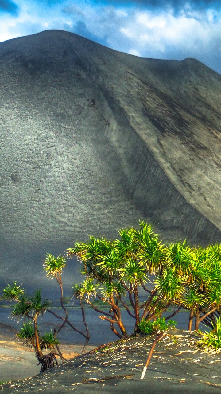 Green Tree Near Gray Mountain Under White Clouds During Daytime. Wallpaper in 720x1280 Resolution