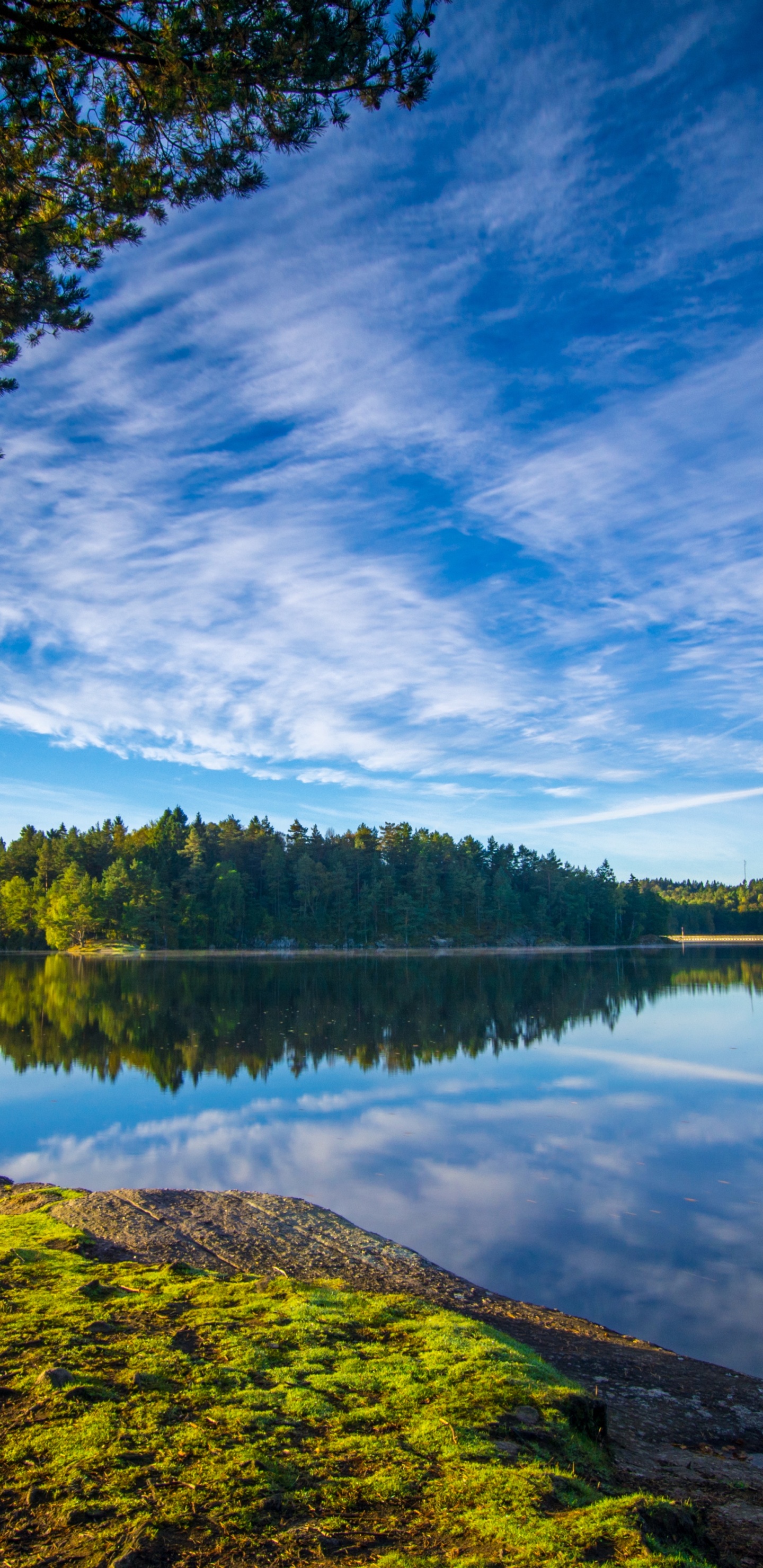 Loch, Delsjn, Blue, Nature, Gothenburg Sweden Lake. Wallpaper in 1440x2960 Resolution