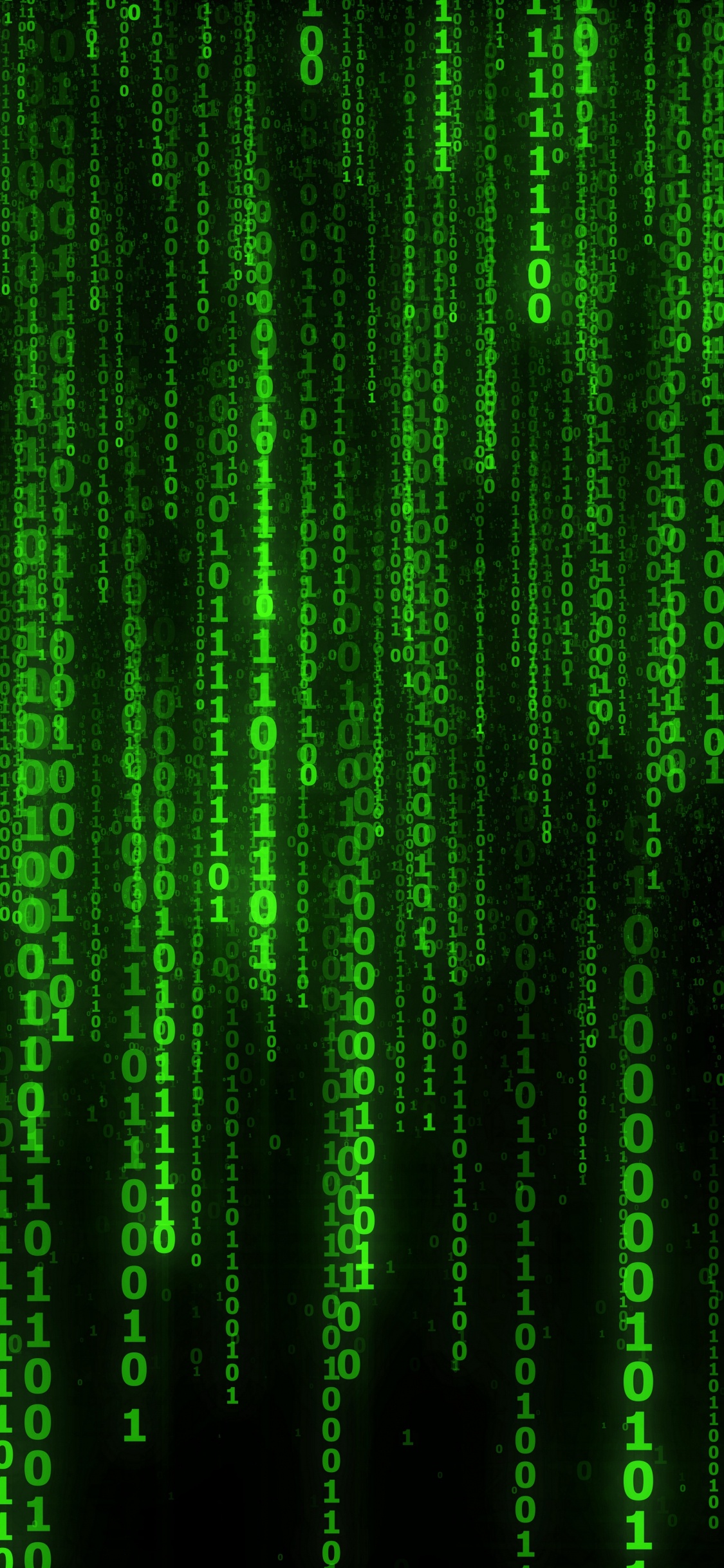 Matrix Digitaler Regen, Gr, Farbigkeit, Text, Muster. Wallpaper in 1125x2436 Resolution