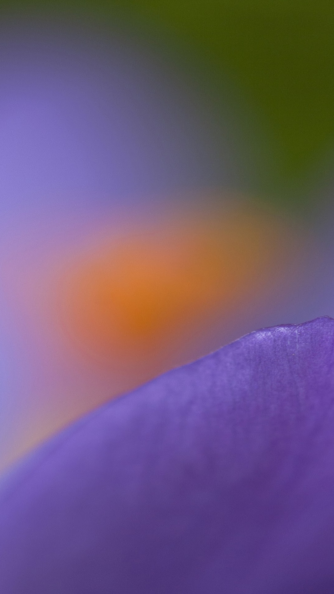 Nokia 8, Nokia 6, Nokia E61, Nokia 6100, Nokia. Wallpaper in 1080x1920 Resolution