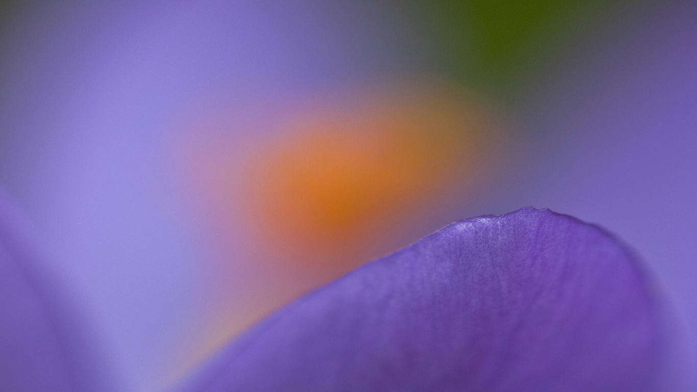 Nokia 8, Nokia 6, Nokia E61, Nokia 6100, Nokia. Wallpaper in 1366x768 Resolution