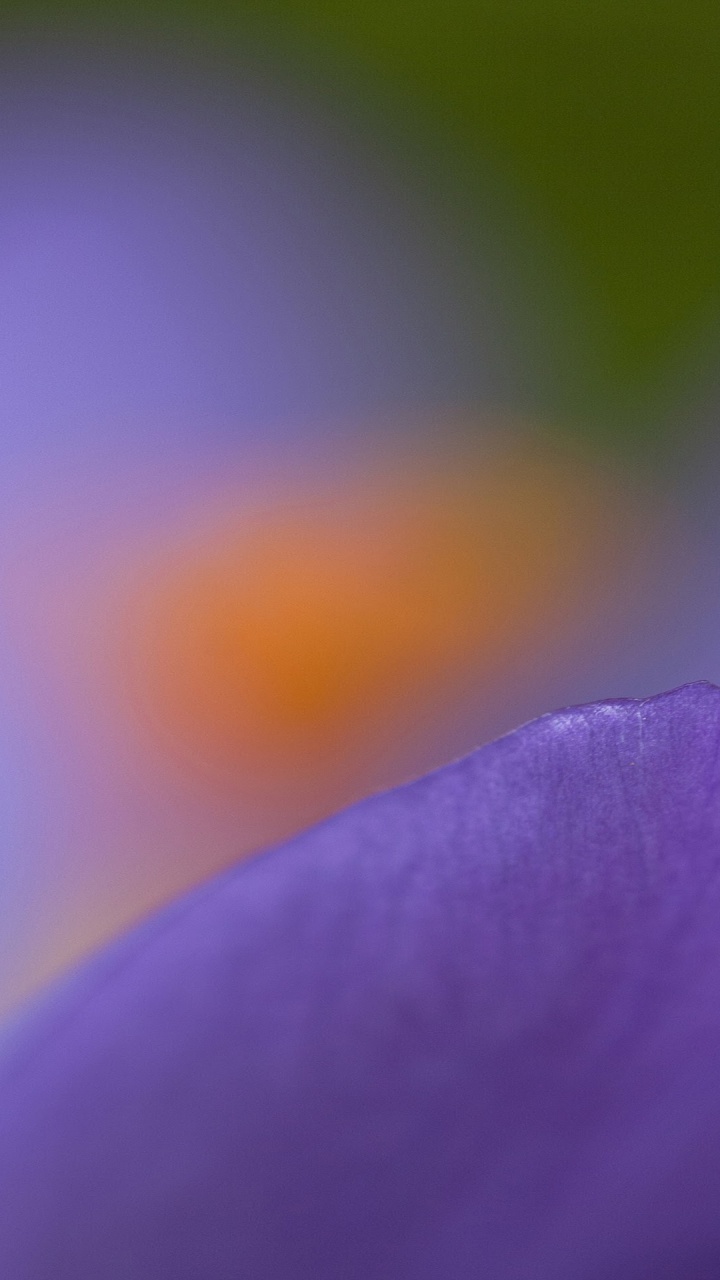 诺基亚8, 诺基亚6, 诺基亚e61, 诺基亚6100, Nokia 壁纸 720x1280 允许