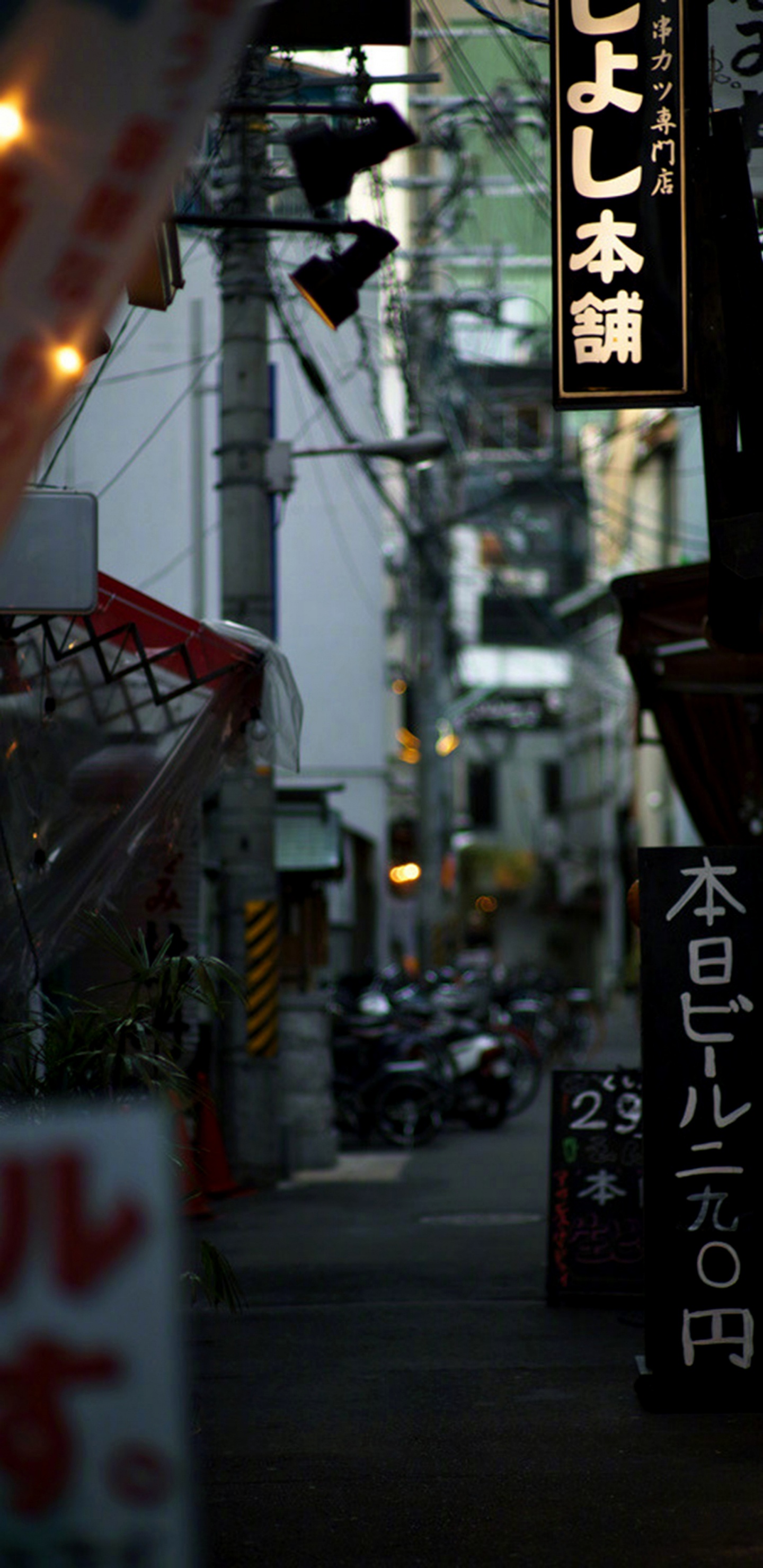 卡卡西旗木, 基础设施, 街区, 早上, 城市 壁纸 1440x2960 允许