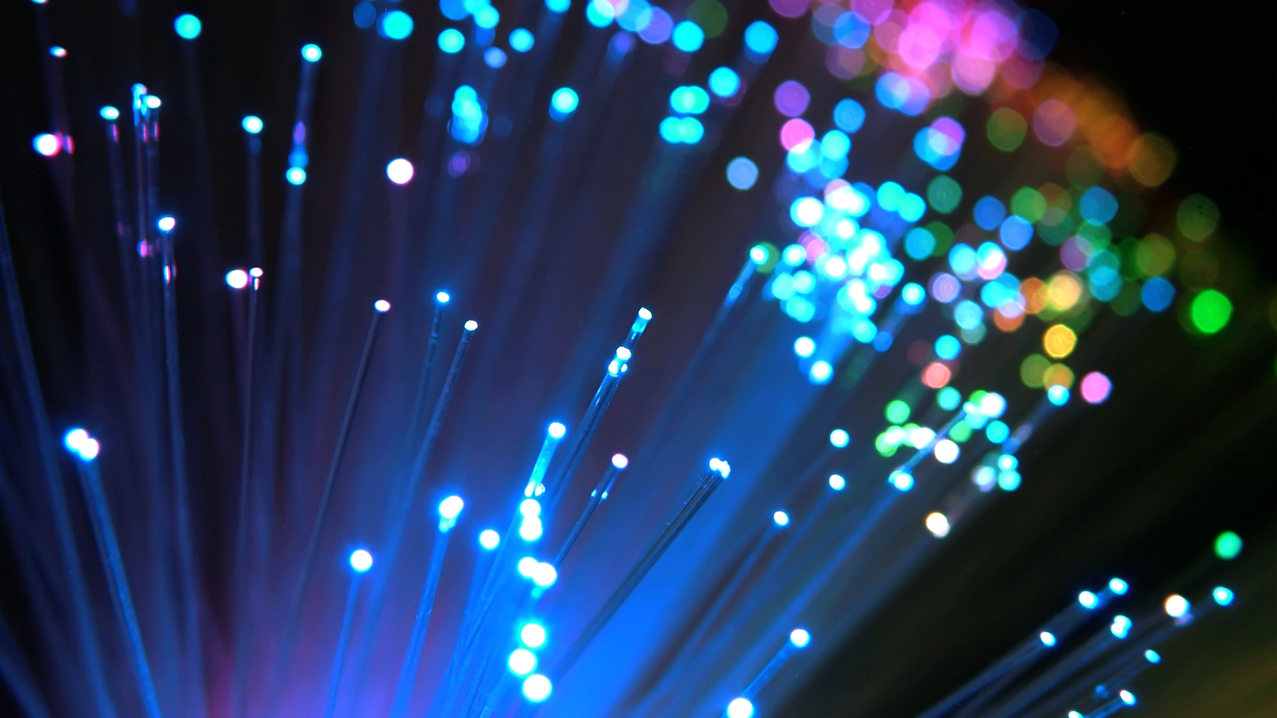 Luz Púrpura y Rosa en Una Habitación Oscura. Wallpaper in 2560x1440 Resolution