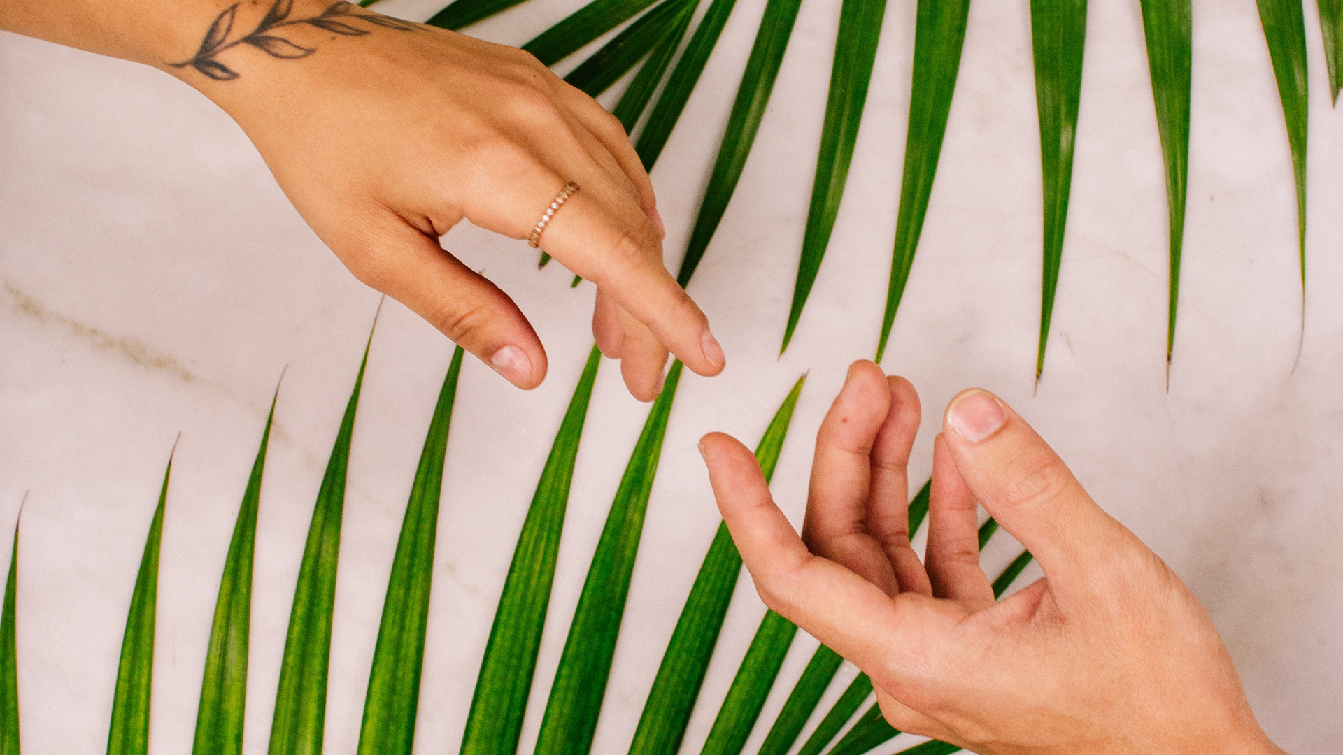 Mano de Personas en Textiles de Impresión de Hojas Blancas y Verdes. Wallpaper in 1920x1080 Resolution