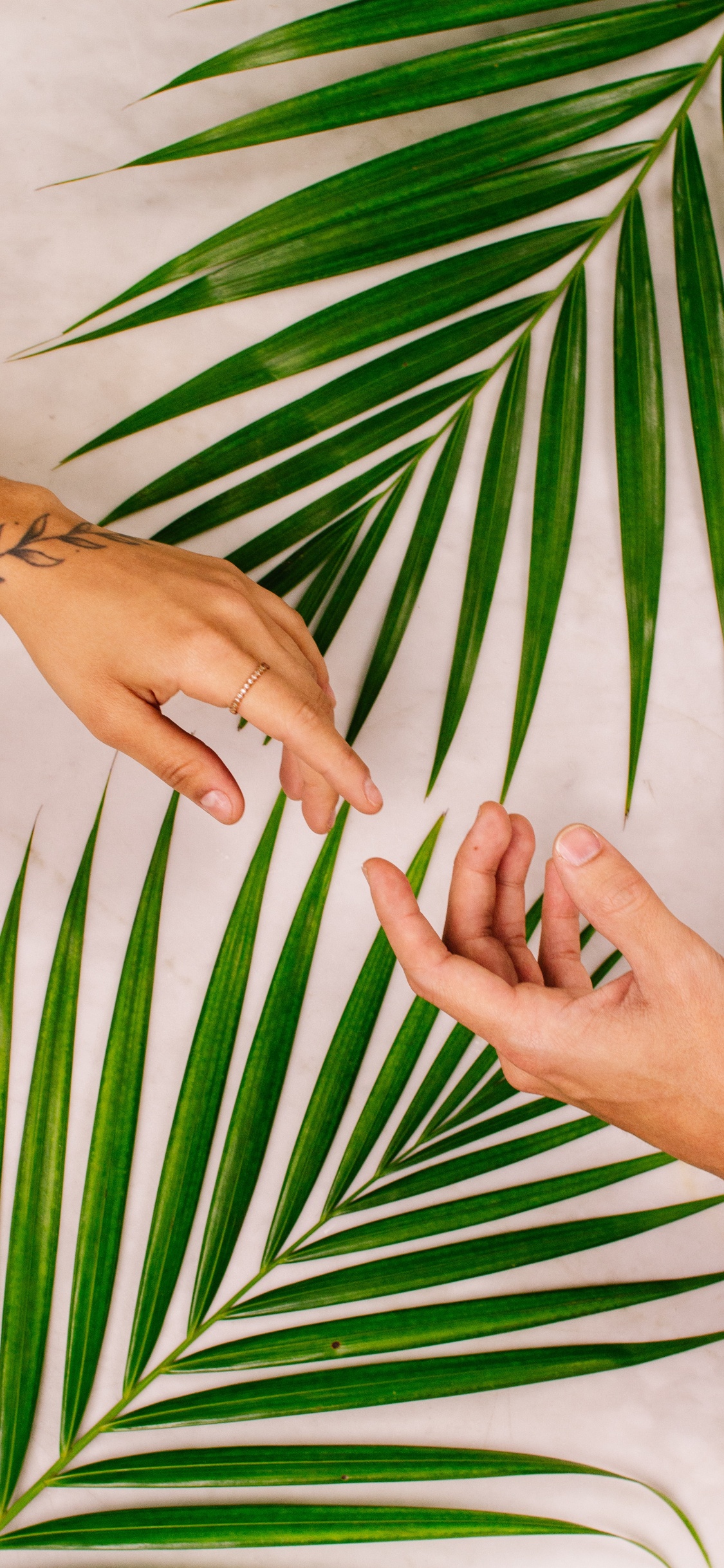 Personenhand Auf Weißem Und Grünem Blattdruckgewebe. Wallpaper in 1125x2436 Resolution