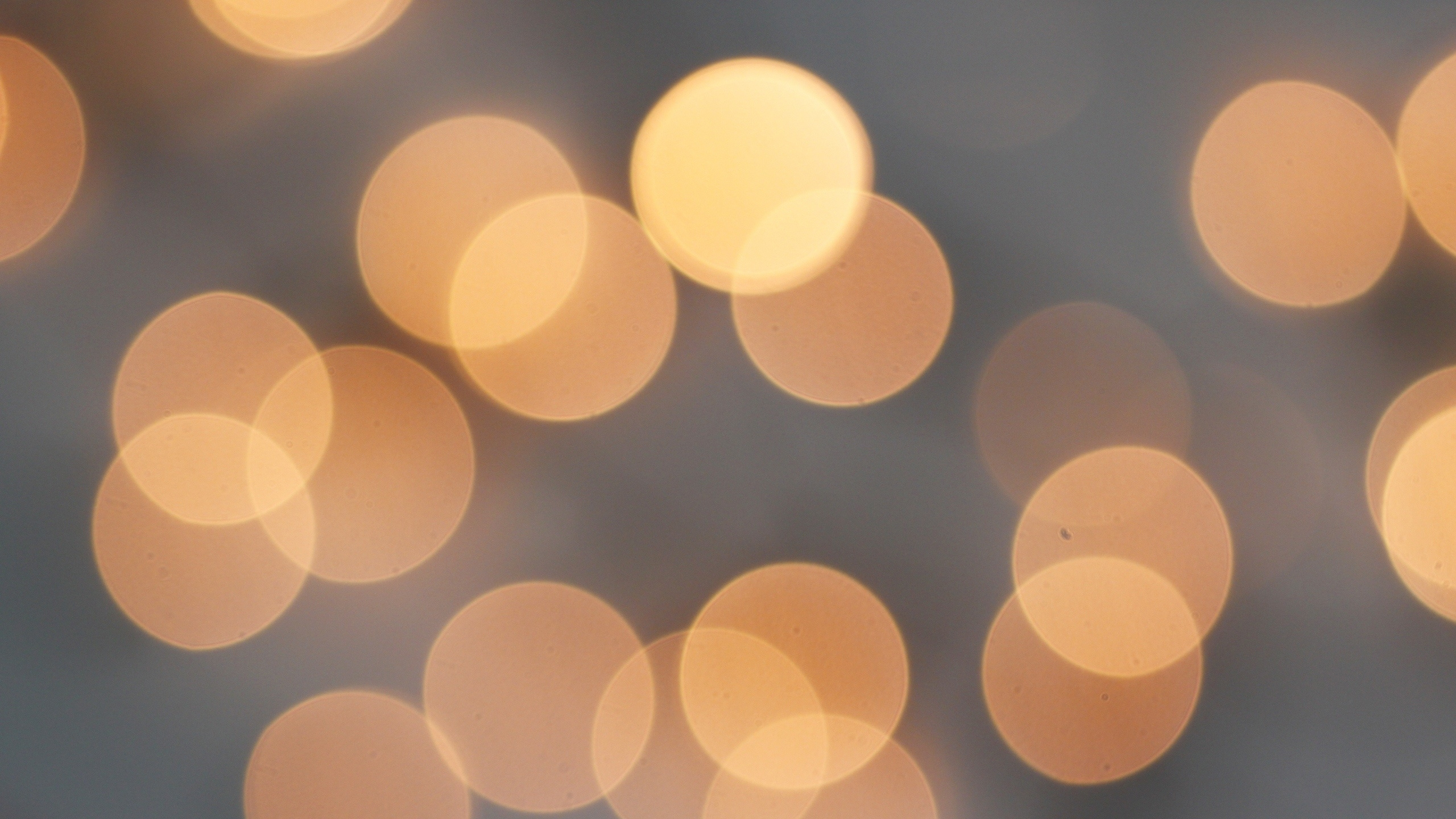 White and Blue Polka Dot Textile. Wallpaper in 2560x1440 Resolution