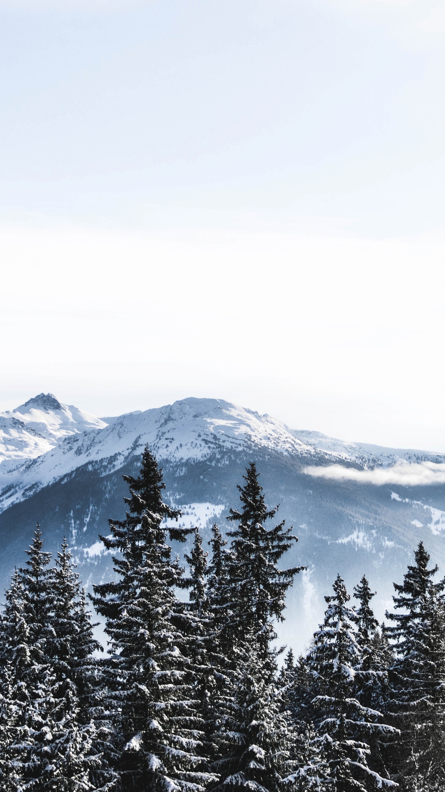 Switzerland, Snow, Winter, Mountain, Mountainous Landforms. Wallpaper in 1440x2560 Resolution