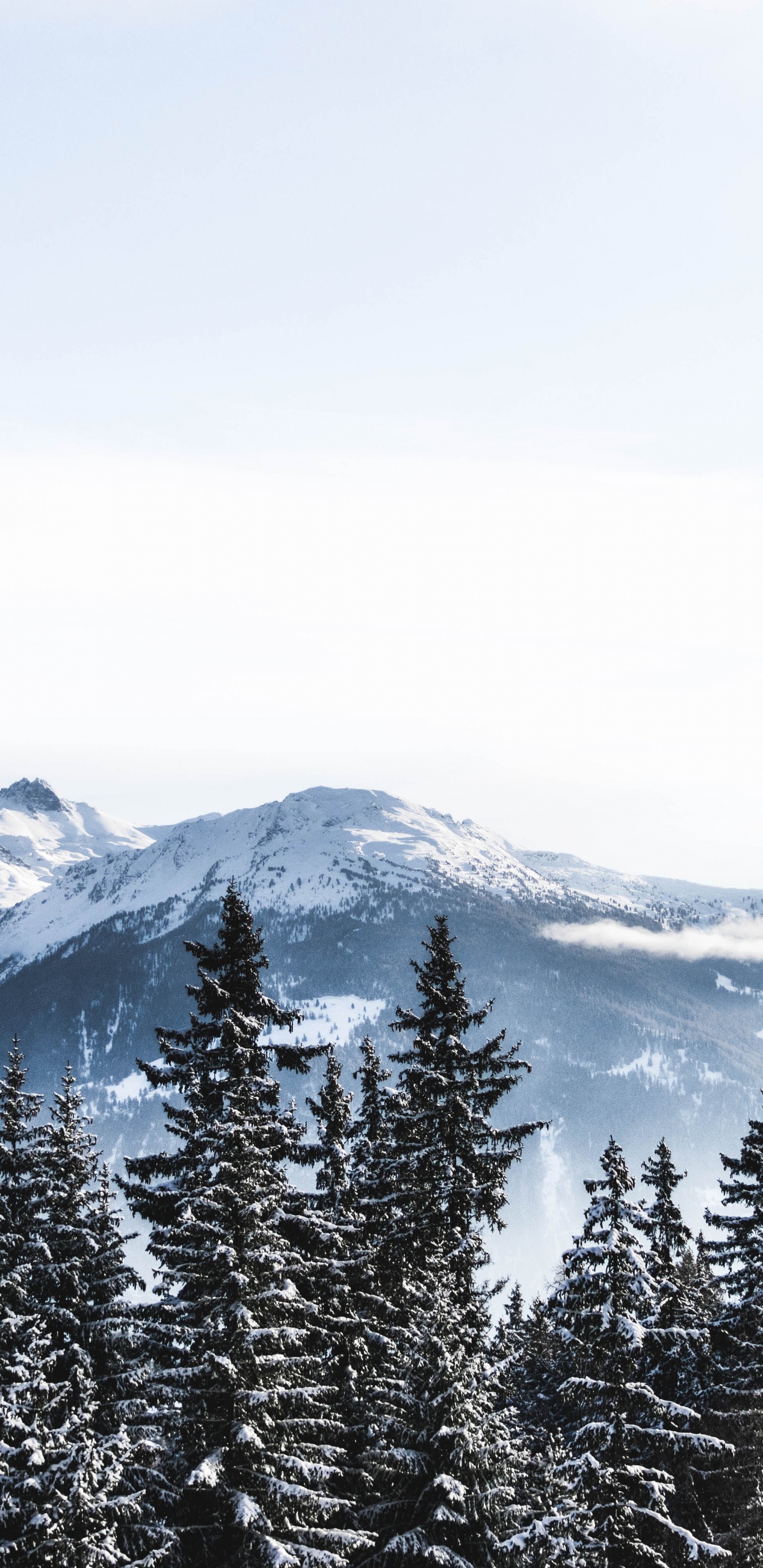 Switzerland, Snow, Winter, Mountain, Mountainous Landforms. Wallpaper in 1440x2960 Resolution