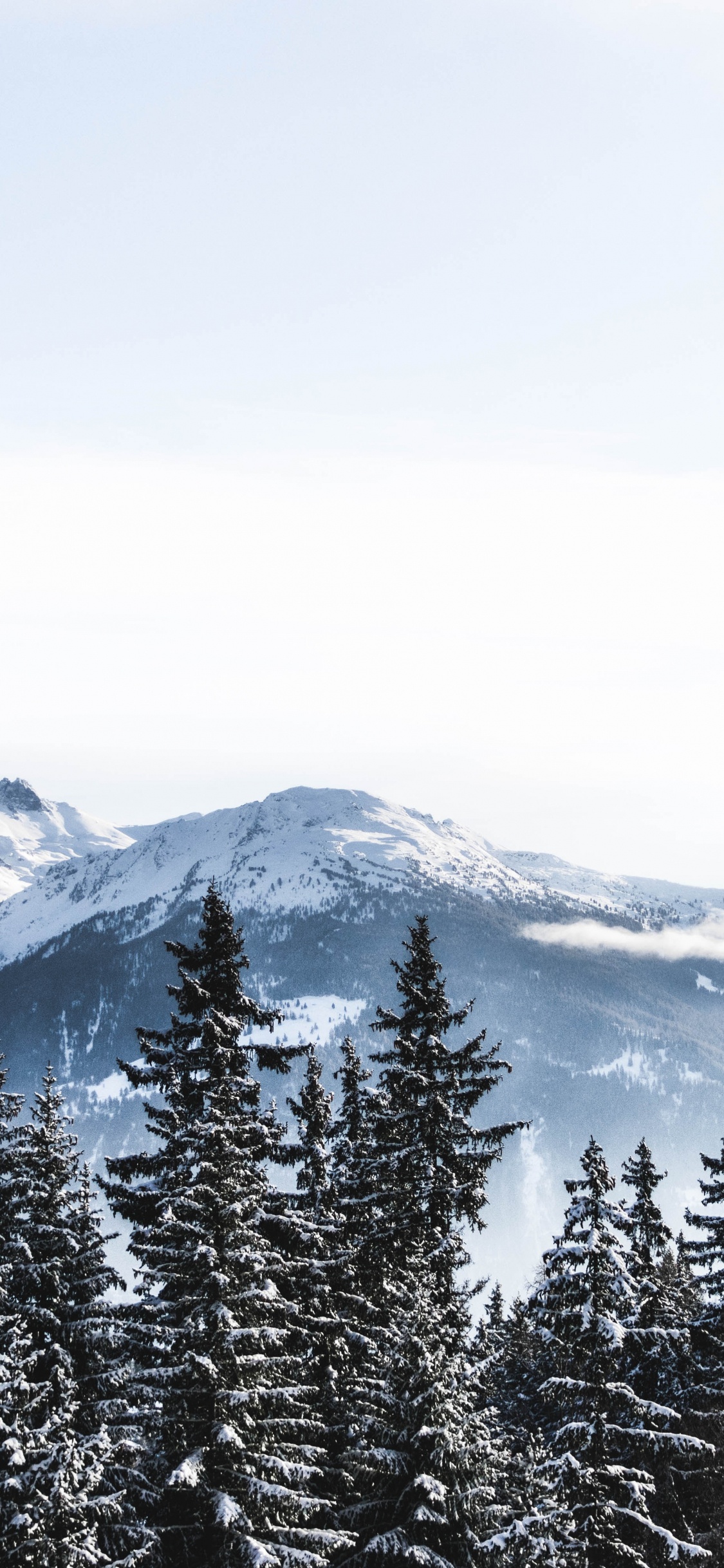 Schweiz, Schnee, Winter, Bergigen Landschaftsformen, Baum. Wallpaper in 1125x2436 Resolution