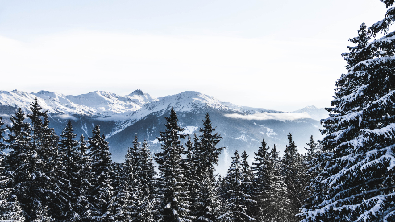 Schweiz, Schnee, Winter, Bergigen Landschaftsformen, Baum. Wallpaper in 1280x720 Resolution