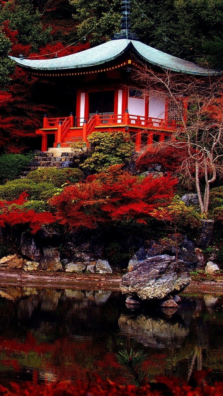 Red and Brown Wooden Bridge Over River. Wallpaper in 720x1280 Resolution