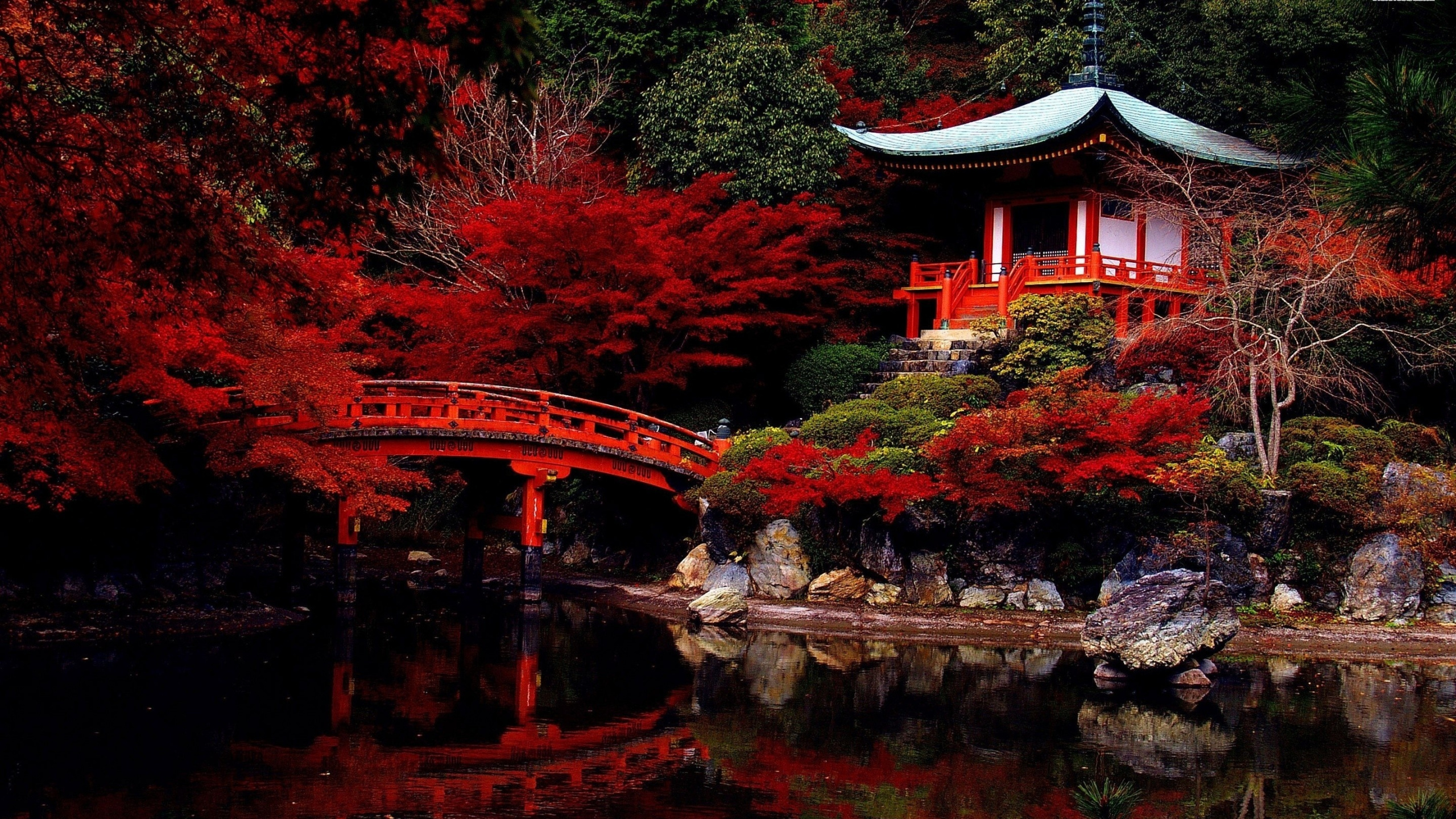 日本, 性质, 中国建筑, 反射, 日本花园 壁纸 2560x1440 允许