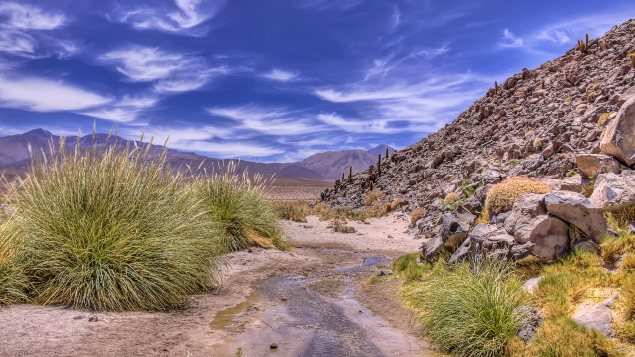 Green Grass on Brown Dirt Road Under Blue Sky During Daytime. Wallpaper in 1280x720 Resolution