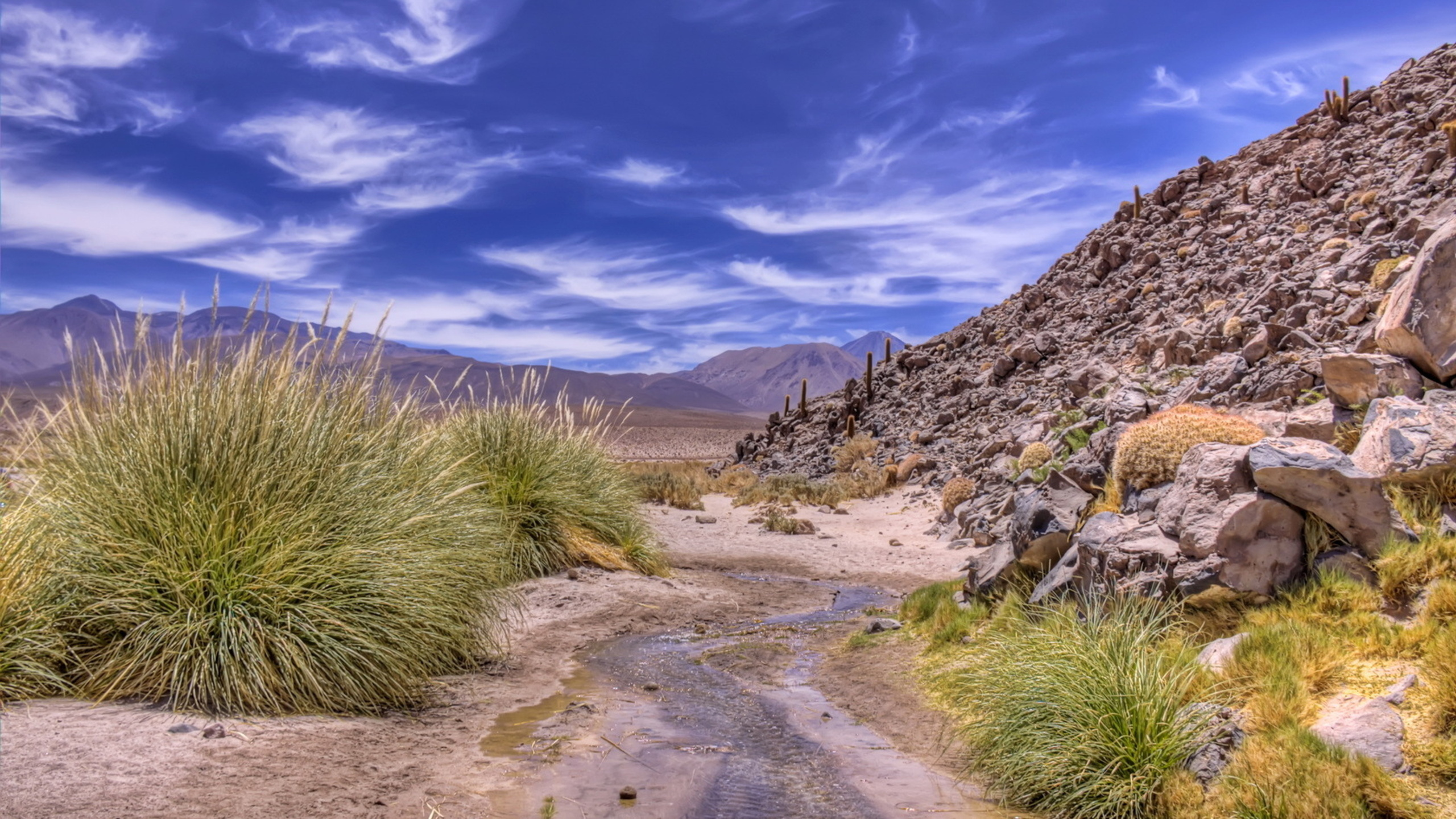 Green Grass on Brown Dirt Road Under Blue Sky During Daytime. Wallpaper in 2560x1440 Resolution