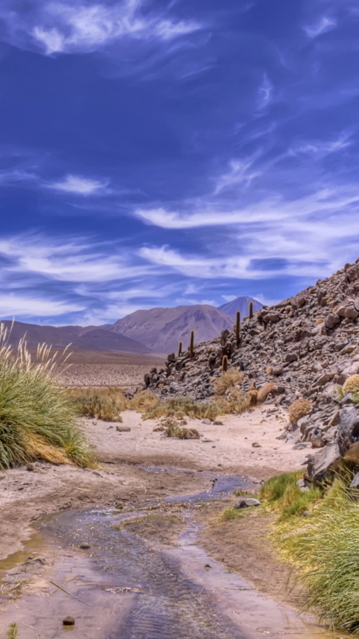 Green Grass on Brown Dirt Road Under Blue Sky During Daytime. Wallpaper in 720x1280 Resolution