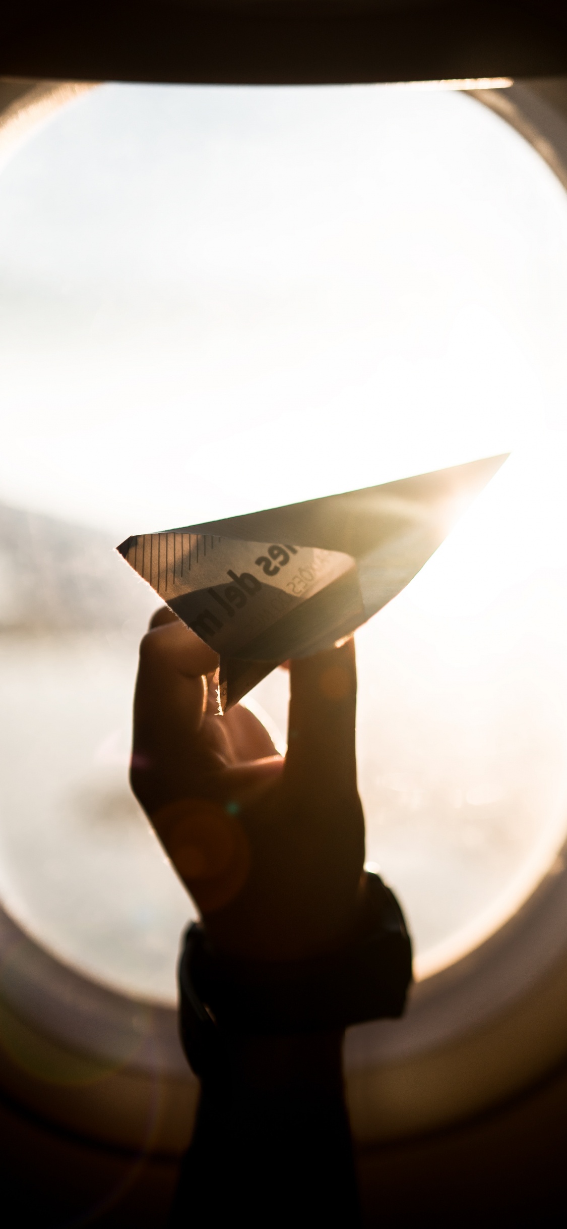 旅行, 乘客, 航班, 手, 航空公司 壁纸 1125x2436 允许