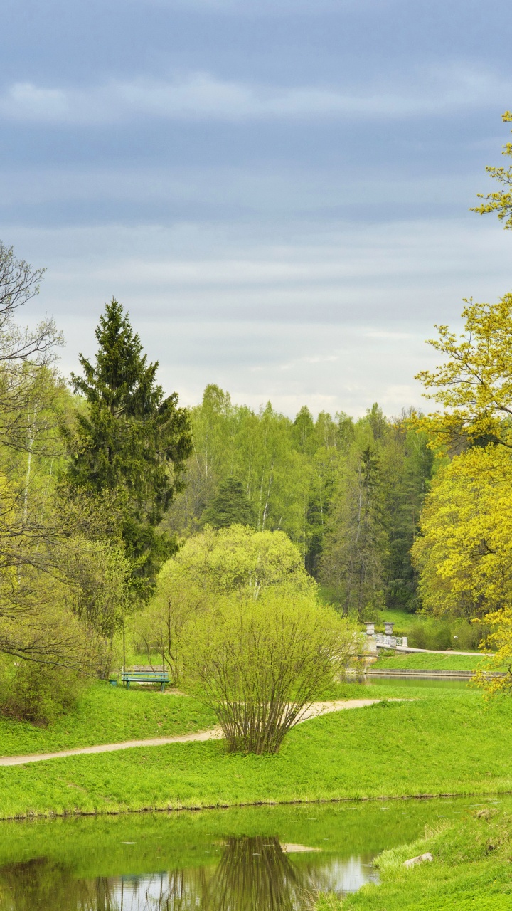 Green Trees on Green Grass Field Under Blue Sky During Daytime. Wallpaper in 720x1280 Resolution