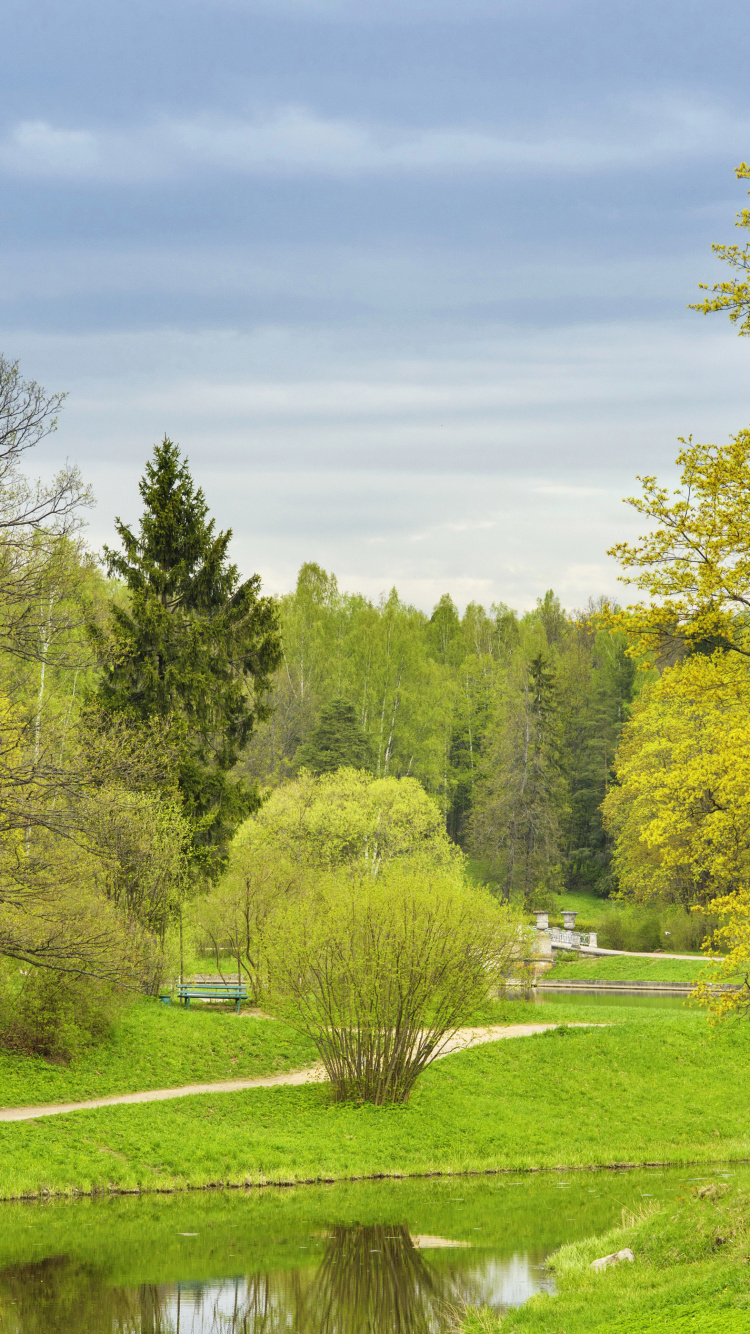 Green Trees on Green Grass Field Under Blue Sky During Daytime. Wallpaper in 750x1334 Resolution