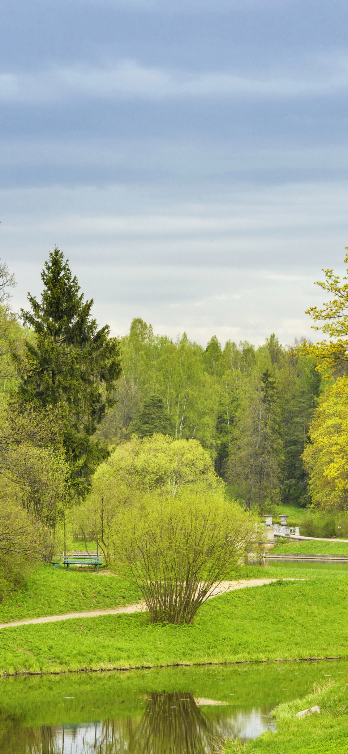 Arbres Verts Sur Terrain D'herbe Verte Sous Ciel Bleu Pendant la Journée. Wallpaper in 1125x2436 Resolution