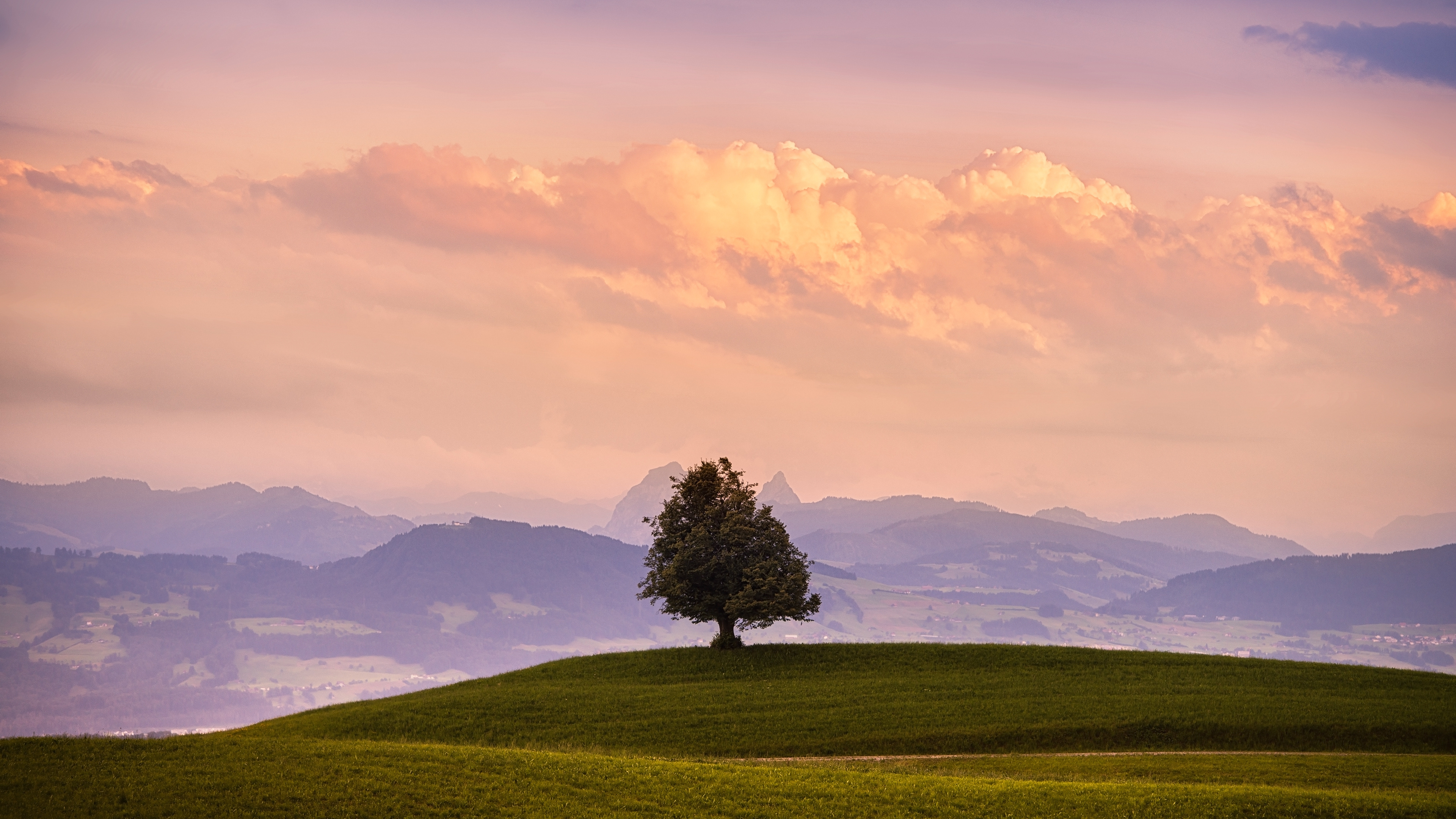 Arbre Vert Sur Terrain D'herbe Verte Sous Des Nuages Blancs et Ciel Bleu Pendant la Journée. Wallpaper in 3840x2160 Resolution